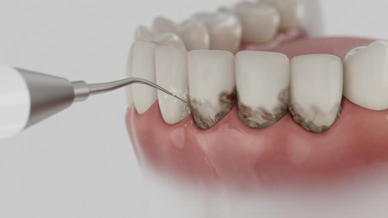 Reliable Dental contractor in Quincy, WA by Dentist Open Now